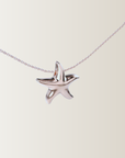 collar de estrellas de mar
