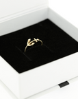 Anillo Anker