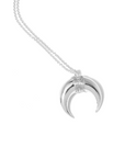 Horn necklace